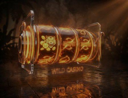 Wild Casino